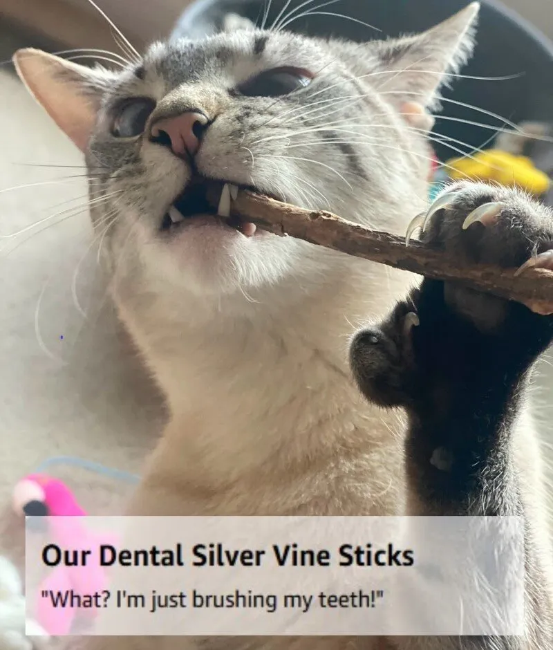 From The Field Silver Vine Sticks In Ultimate Blend Catnip Pouch