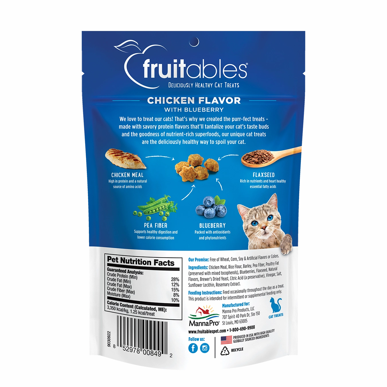 Fruitables Crunchy Chicken Flavor with Blueberry Cat Treats 70g