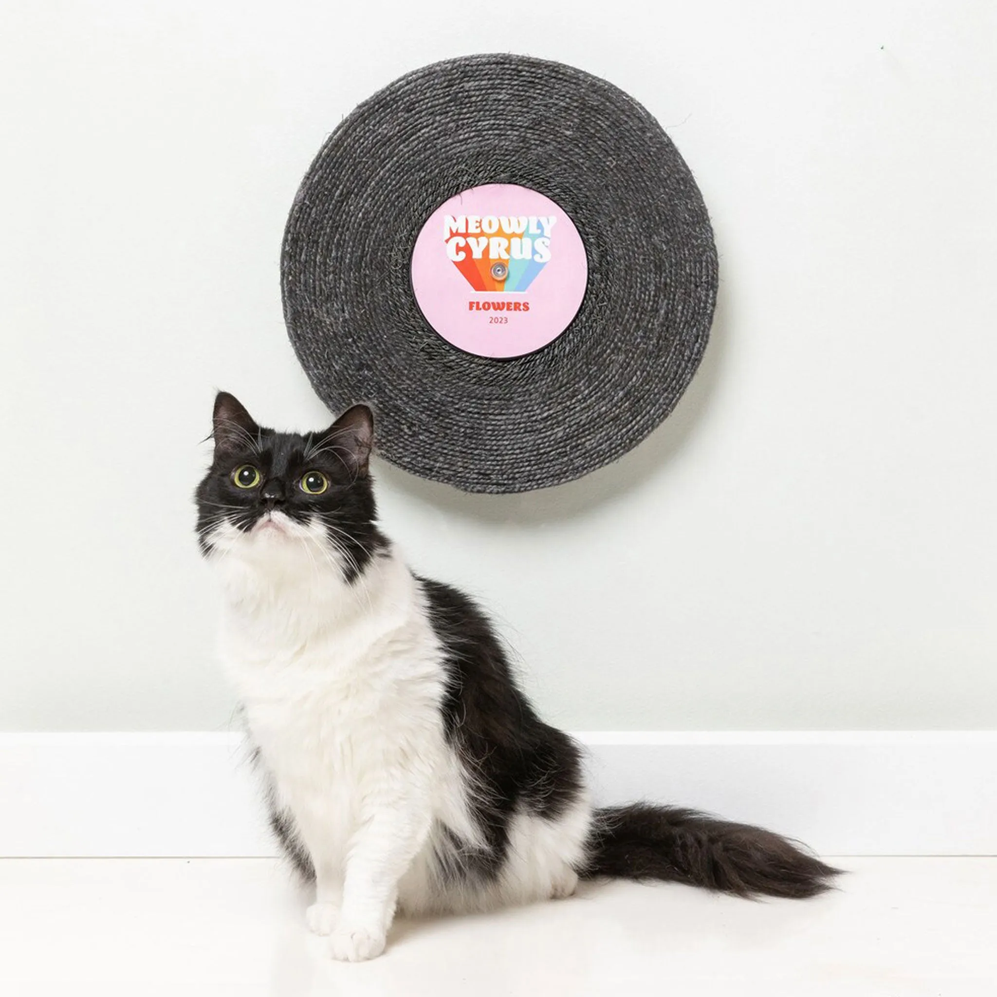 Fuzzyard Meowly Cyrus Record Scratcher Black Cat Scratchers