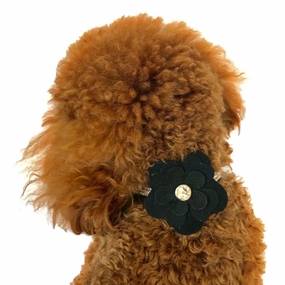 Garden Flower Dog Collar Slider Black dog collar accessory,collar decor