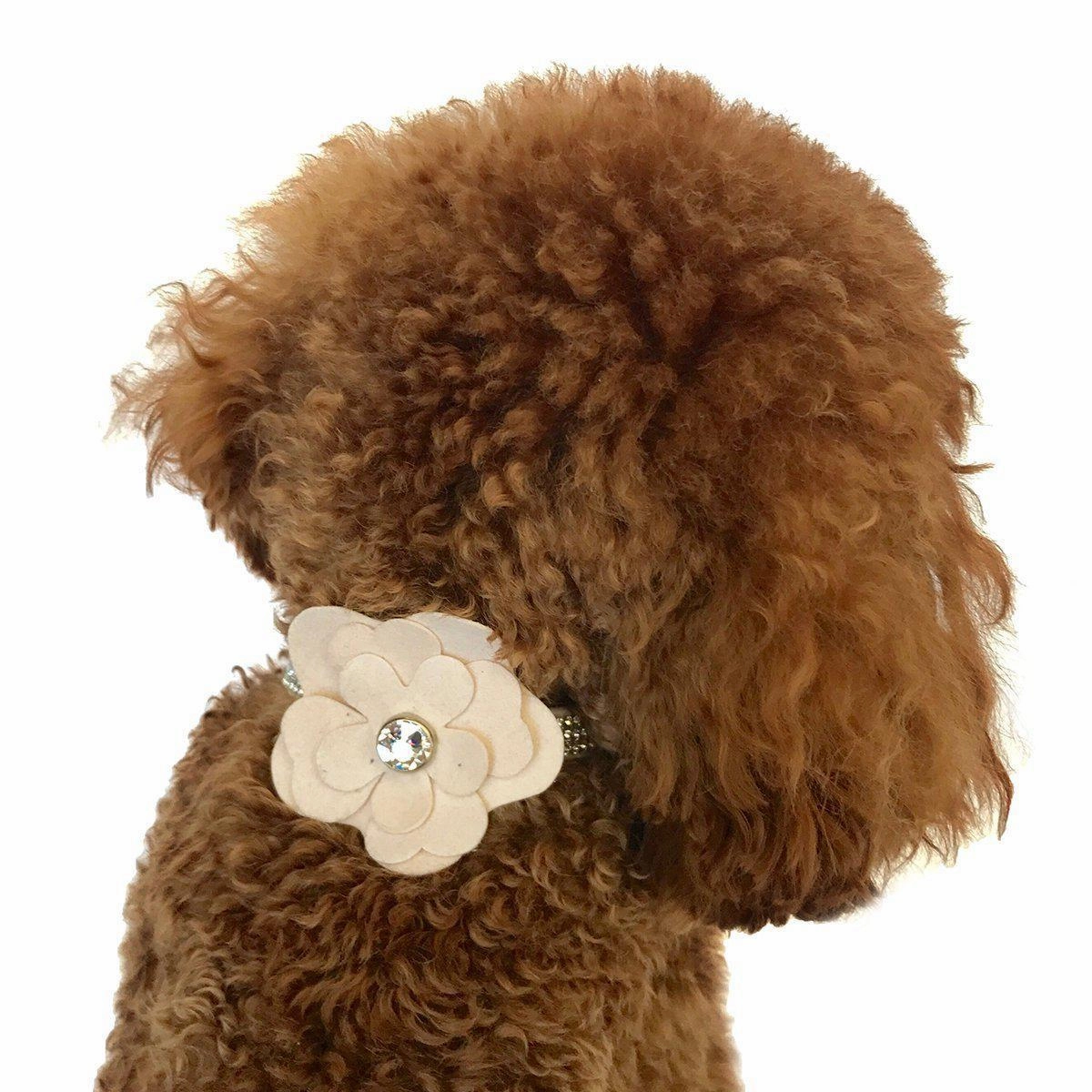 Garden Flower Dog Collar Slider Blush dog collar accessory,collar decor