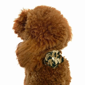 Garden Flower Dog Collar Slider Leopard dog collar accessory,collar decor