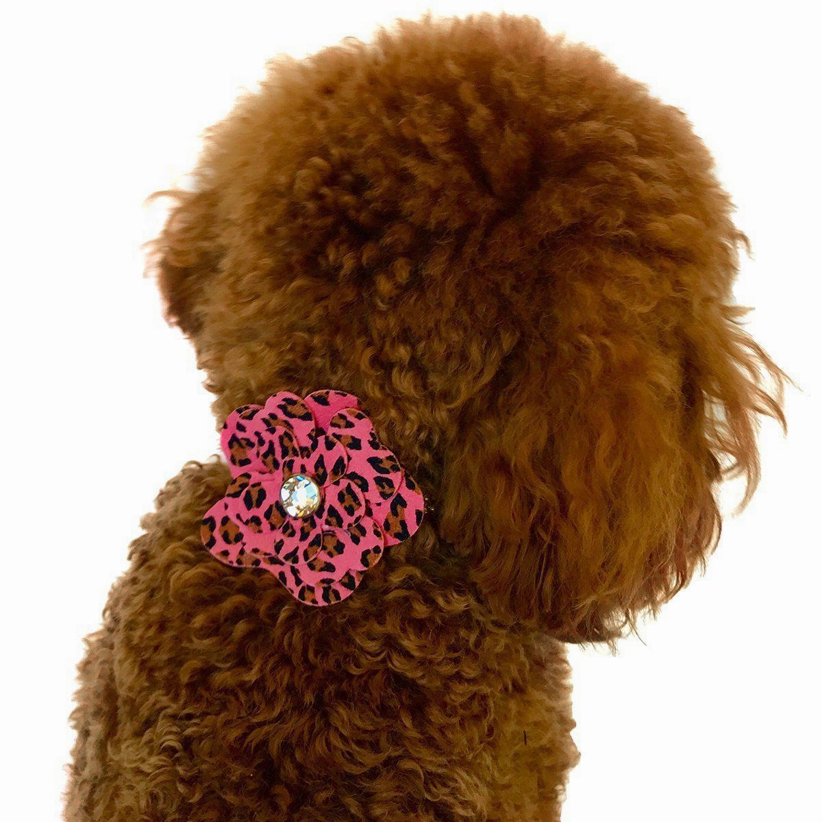 Garden Flower Dog Collar Slider Pink Cheetah