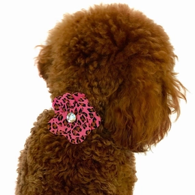 Garden Flower Dog Collar Slider Pink Cheetah