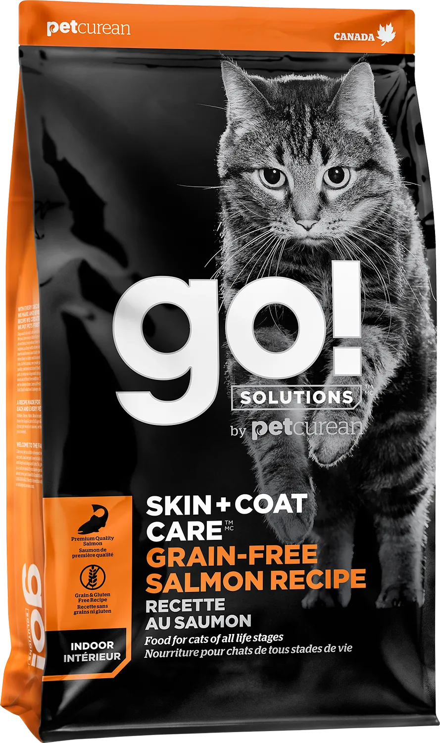 GO! Skin & Coat Cat Grain Free Salmon adult cat food, best cat food for adults