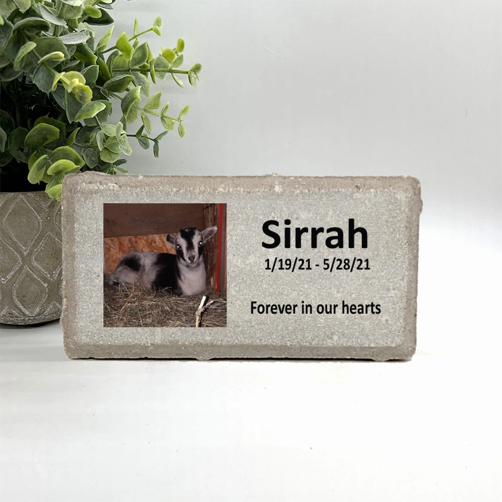 Goat Memorial Stone - Personalized with your photo and custom saying show poultry,grooming poultry