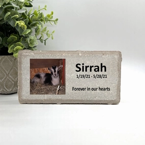 Goat Memorial Stone - Personalized with your photo and custom saying show poultry,grooming poultry