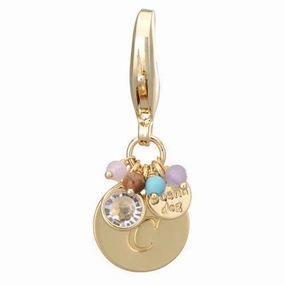 Gold Initial C Dog Collar Charm dog collar charm,pet tag