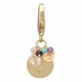 Gold Initial J Dog Collar Charm dog collar charm,pet tag