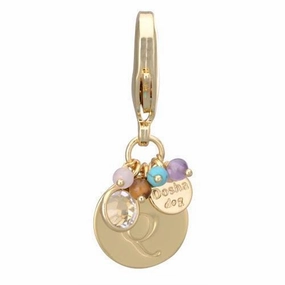 Gold Initial Q Dog Collar Charm dog collar charm,pet tag