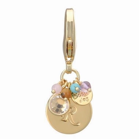 Gold Initial R Dog Collar Charm dog collar charm,pet tag