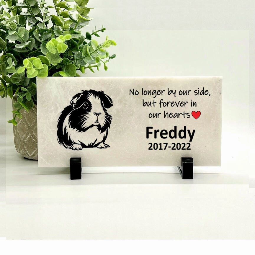 Guinea Pig Memorial - No longer by our side but forever in our hearts