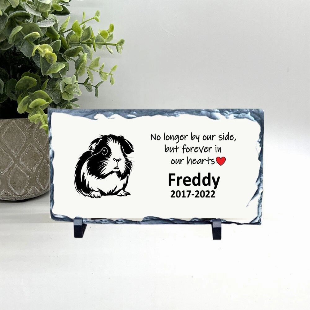Guinea Pig Memorial - No longer by our side but forever in our hearts