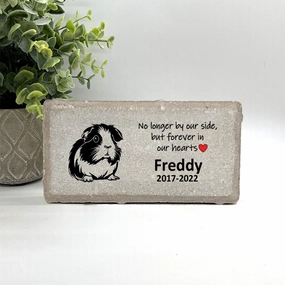 Guinea Pig Memorial - No longer by our side but forever in our hearts show poultry,grooming poultry
