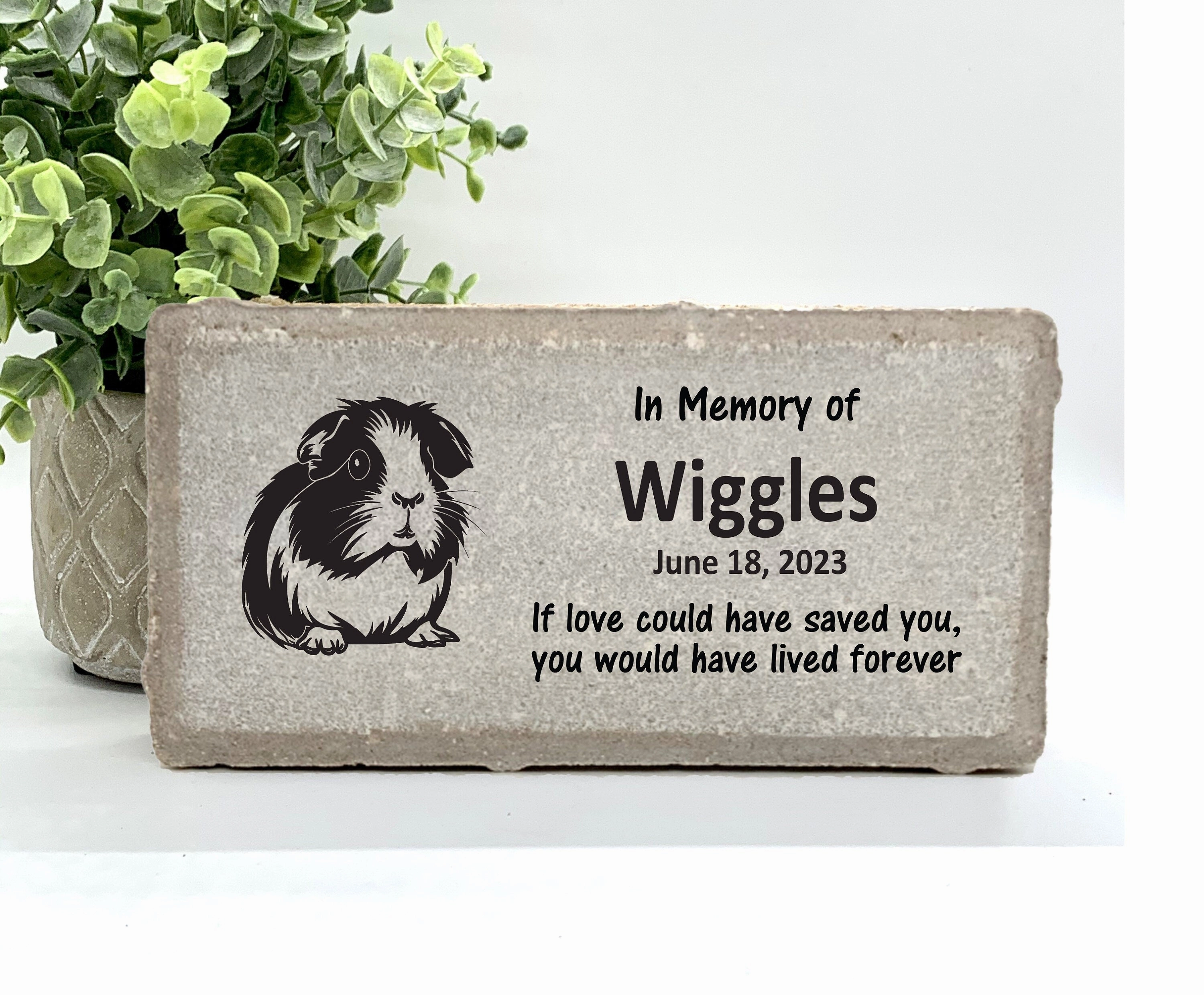 Guinea Pig Memorial Stone - Personalized Pet Keepsake - Pet Loss Gift - Custom Guinea Pig Sympathy Gift - Pet Condolence Gift show poultry,grooming poultry
