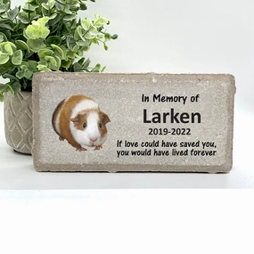 Guinea Pig Memorial Stone - Personalized Pet Keepsake - Pet Loss Gift - Custom Guinea Pig Sympathy Gift - Pet Condolence Gift show poultry,grooming poultry
