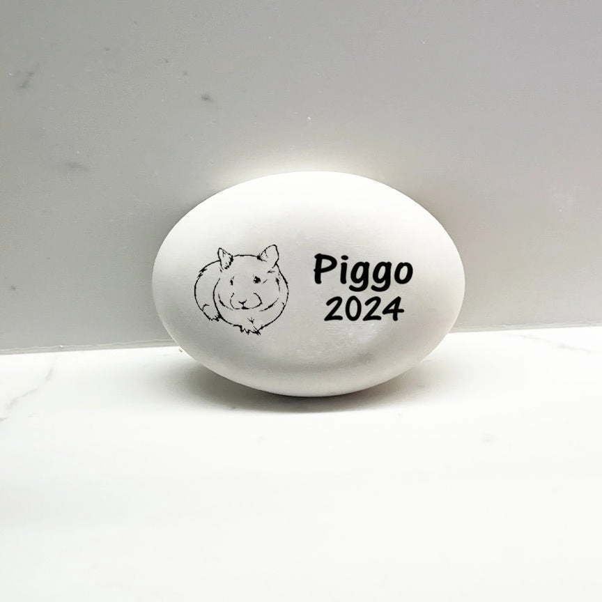 Guinea Pig Memorial Stone- Personalized Guinea Pig Memorial Gift