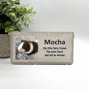Guinea Pig Photo Memorial Stone - Personalized Pet Loss Gift show poultry,grooming poultry