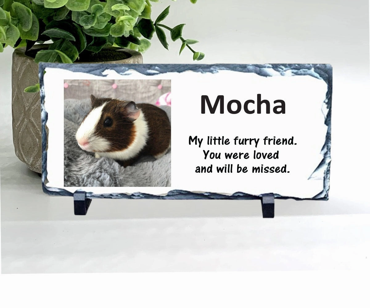 Guinea Pig Photo Memorial Stone - Personalized Pet Loss Gift
