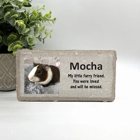 Guinea Pig Photo Memorial Stone - Personalized Pet Loss Gift