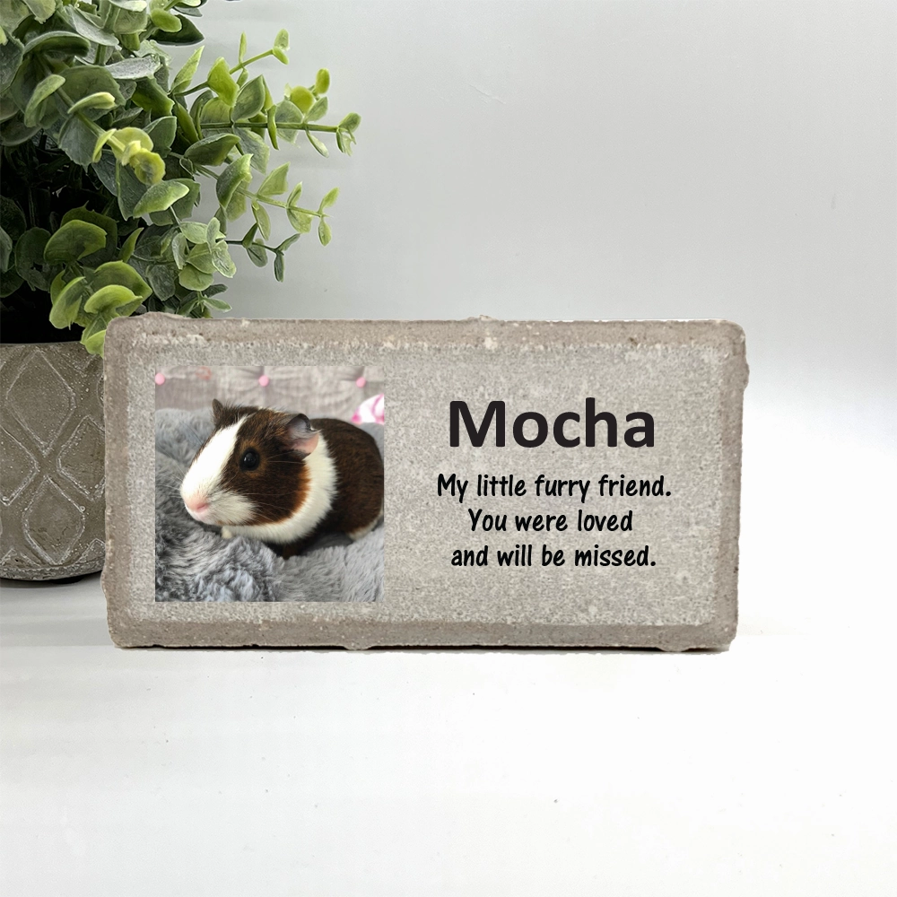 Guinea Pig Photo Memorial Stone - Personalized Pet Loss Gift