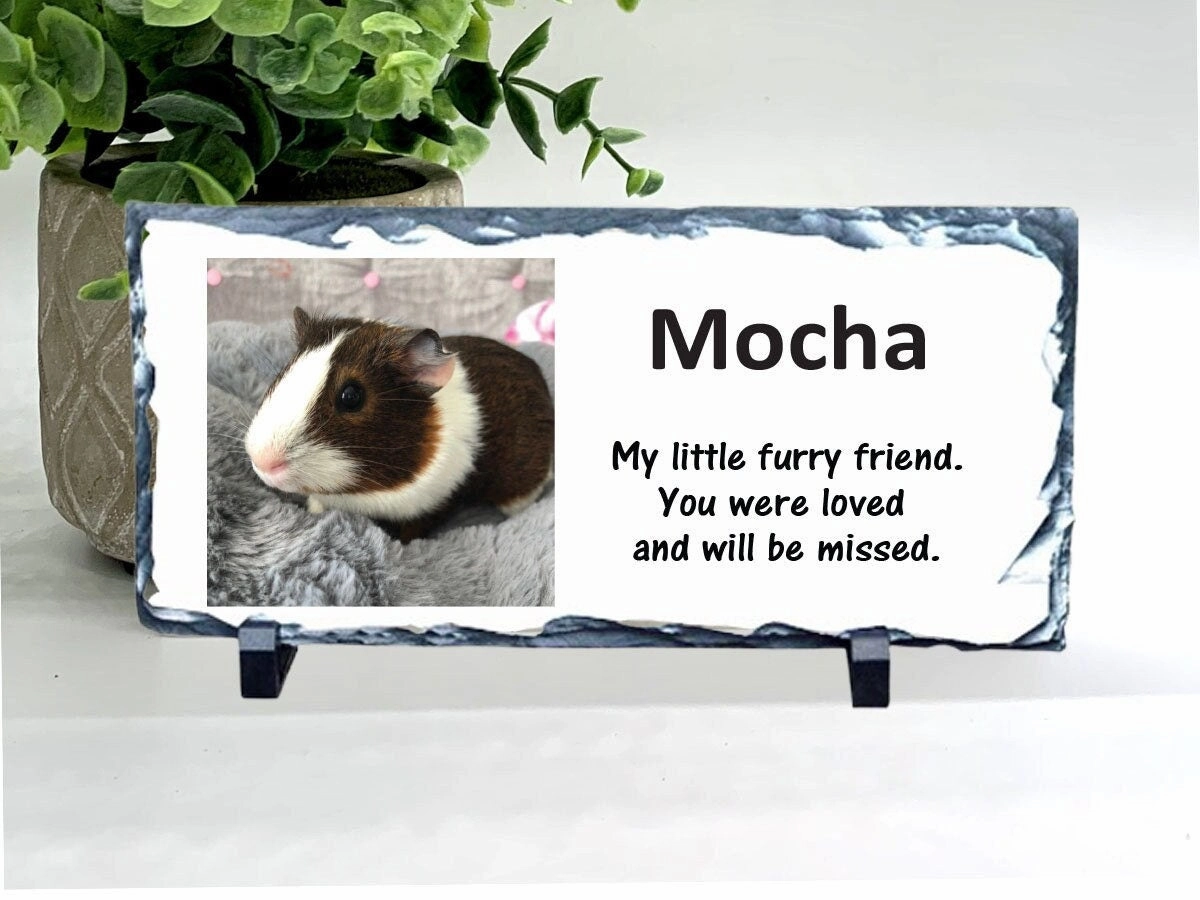 Hamster Memorial Stone- Photo Memorial