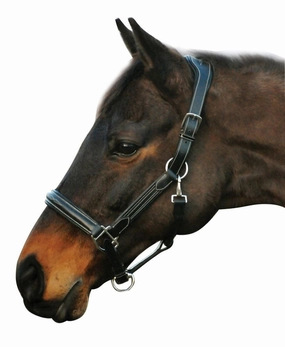 HDR Stress Free Fancy Stitch Leather Halter bird pet,aviary product