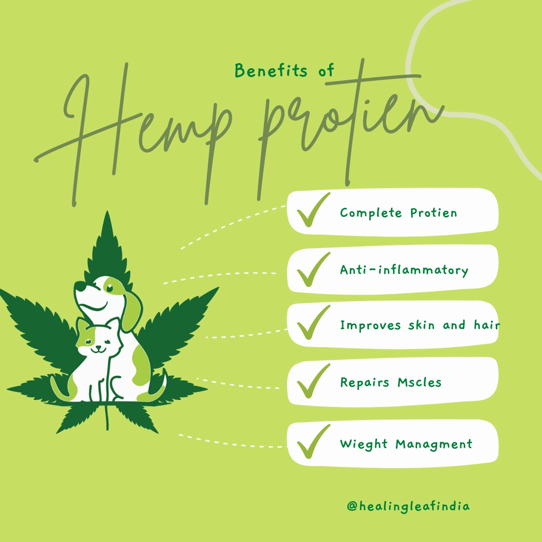 Healing Leaf Hemp Protein Powder and Bark Out Loud Immunity Multi Vitamin Chew Stix for Dogs and Cats Combo