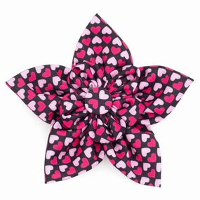 Heartthrob Dog Collar Flower dog collar accessory,collar decor