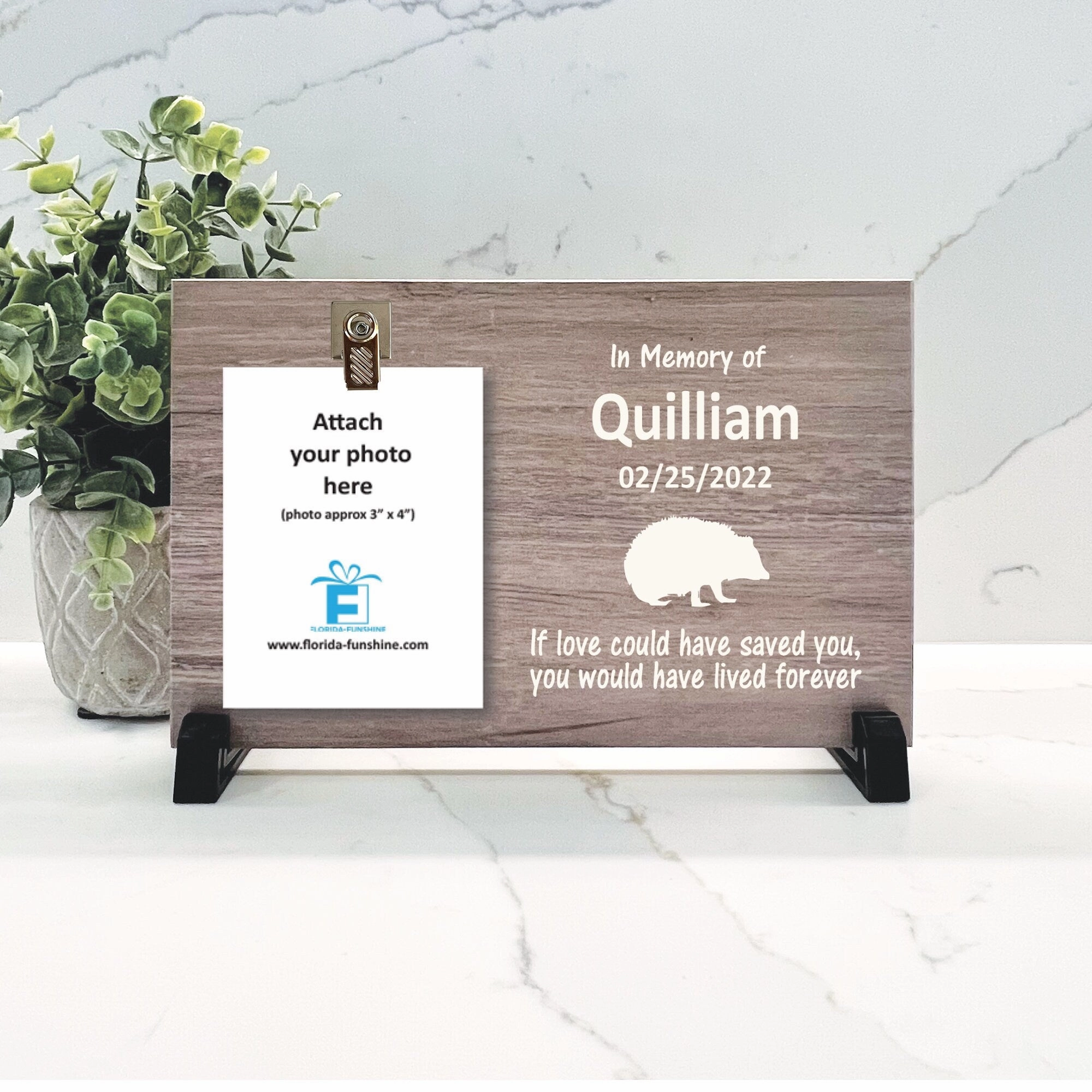 Hedgehog Memorial Gift - Personalized Hedgehog Memorial Frame