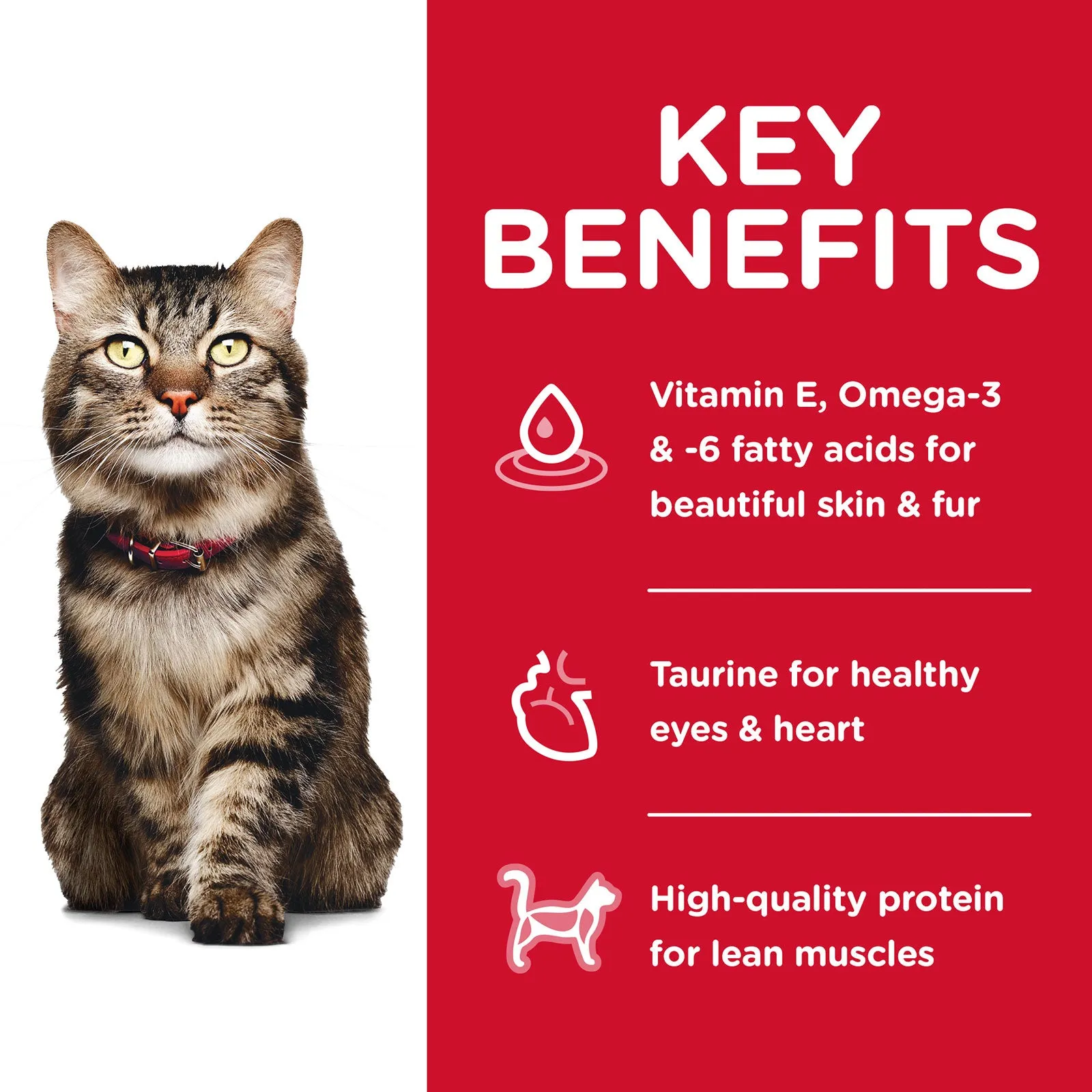 Hill's Science Diet Cat Food Adult 7  Hairball Control Senior