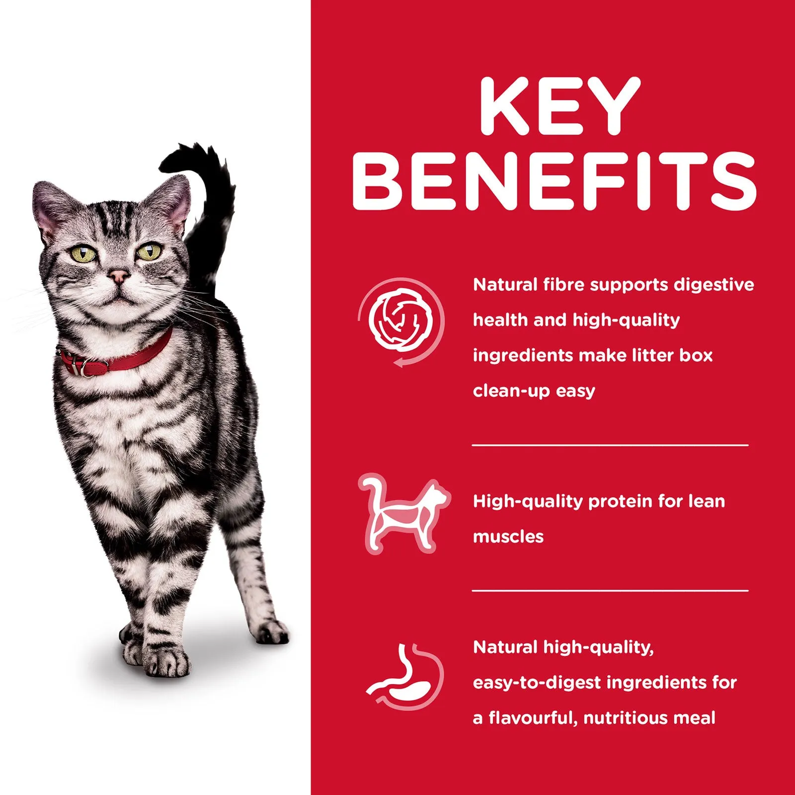 Hill's Science Diet Cat Food Adult Indoor