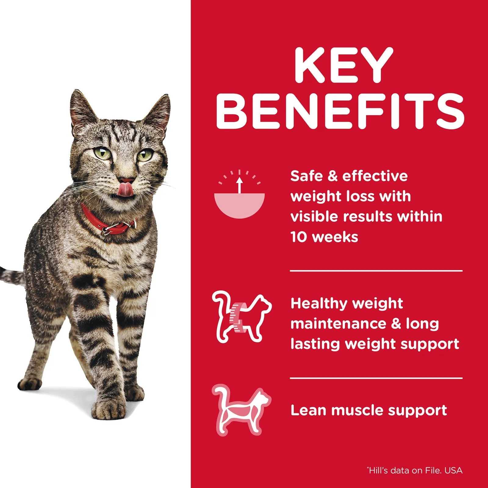 Hill's Science Diet Cat Food Adult Perfect Weight
