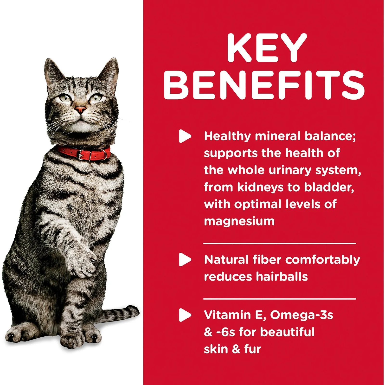 Hill's Science Diet Cat Food Pouch Adult Urinary Hairball Control Ocean Fish