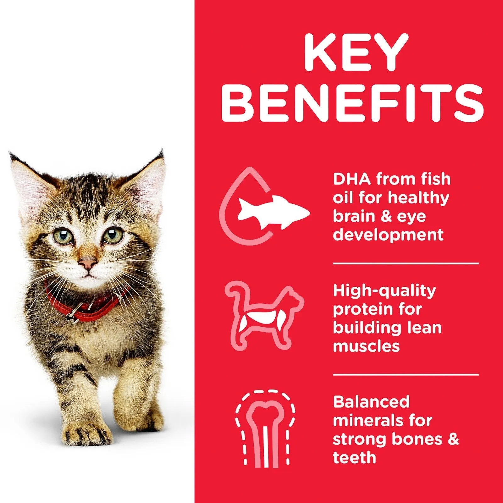 Hill's Science Diet Cat Food Pouch Kitten Ocean Fish