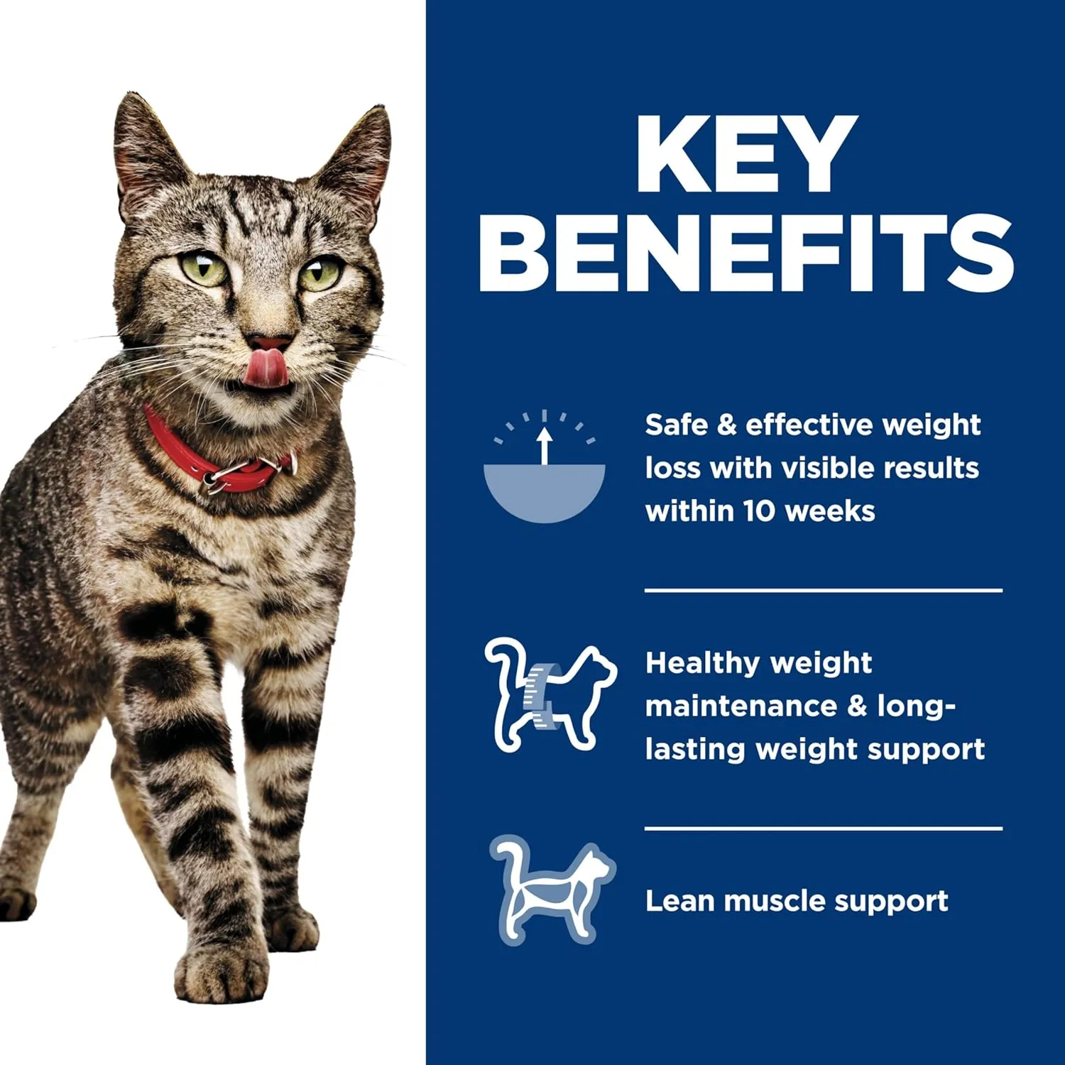 Hill's Science Diet - Feline Adult Perfect Weight Vegetable & Turkey Medley 2.9oz