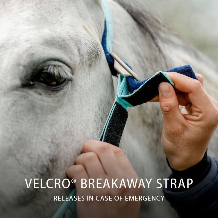 Horseware FieldSafe Halter