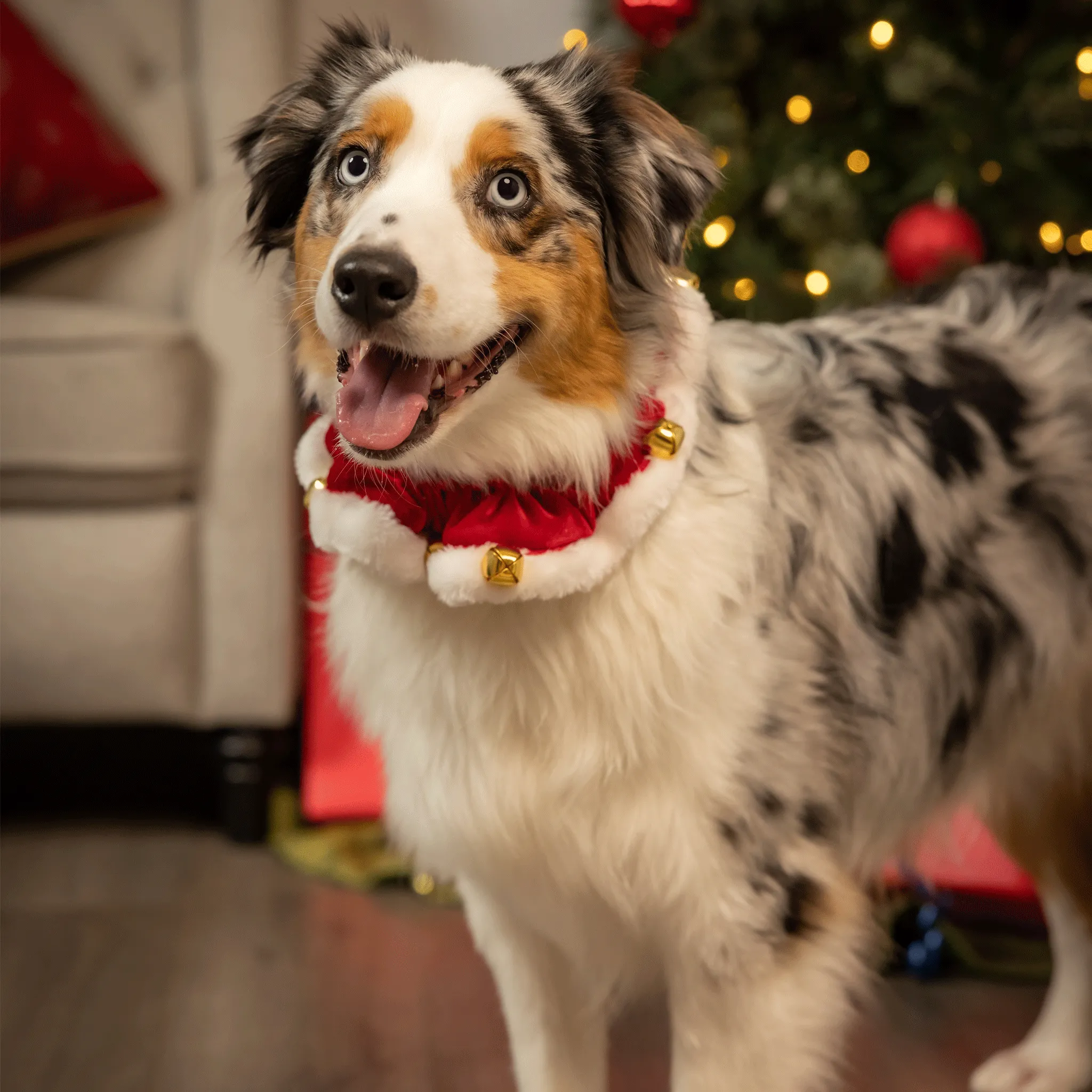 Huxley & Kent Ruff Red Santa Scrunchy for Dogs