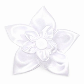 I Do Dog Collar Flower dog collar accessory,collar decor