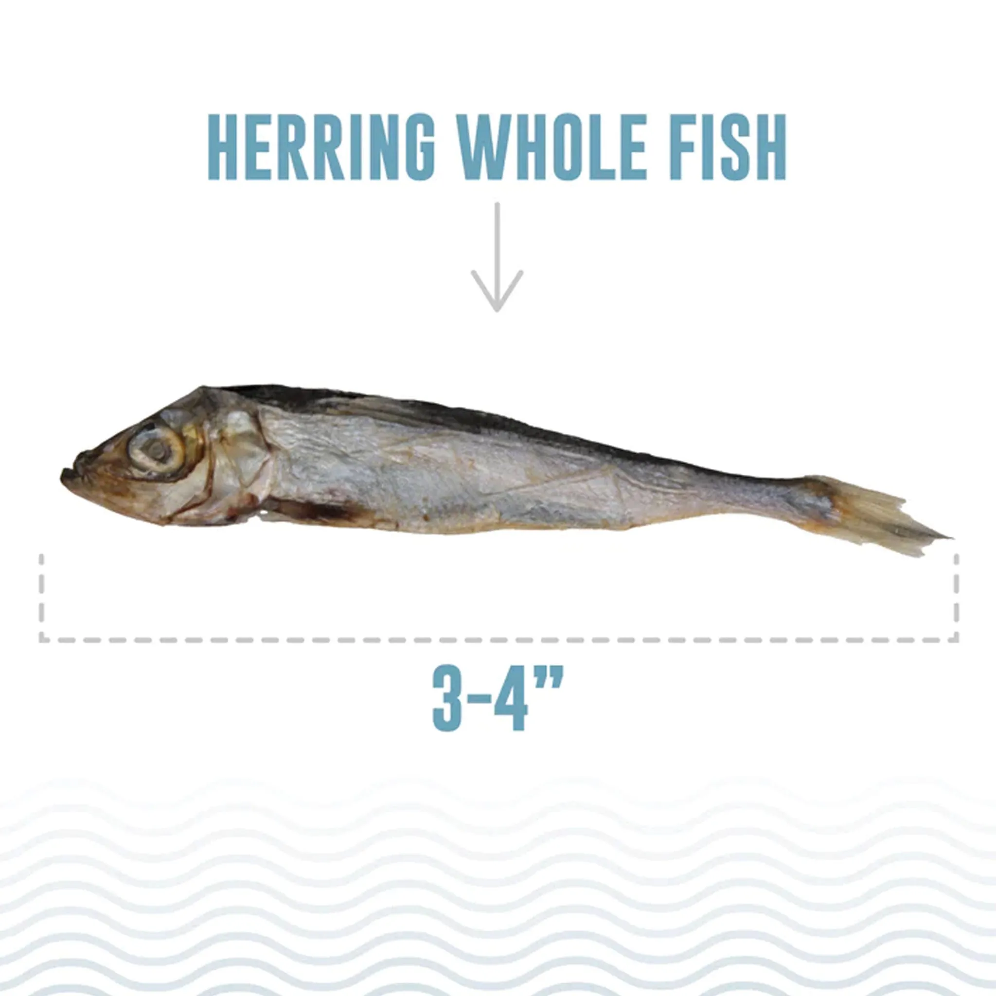 Icelandic  Whole Herring Dog Treats