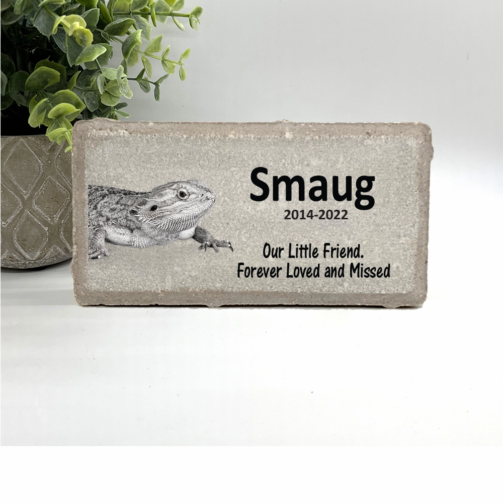 Iguana Memorial Stone- Bearded Dragon Memorial show poultry,grooming poultry