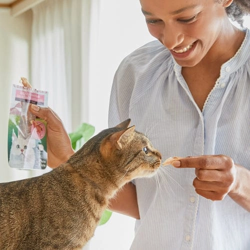 Inaba Grilled Chicken in Chicken Flavoured Broth Cat Treat