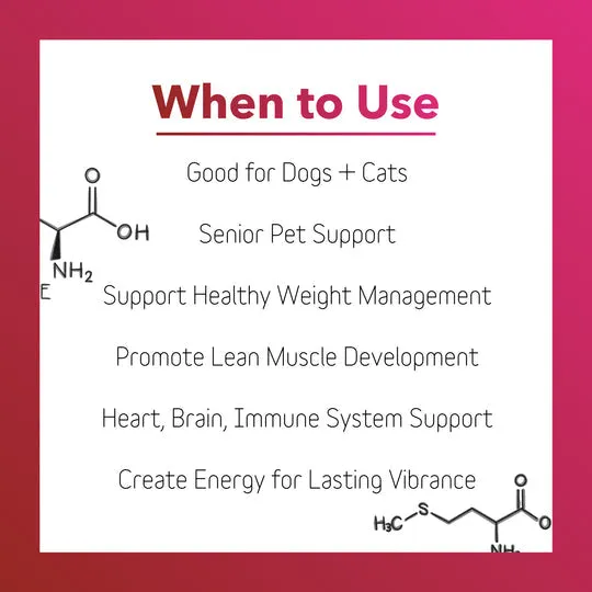 InClover BioVibrant Heart Health Powder Supplement for Dogs & Cats
