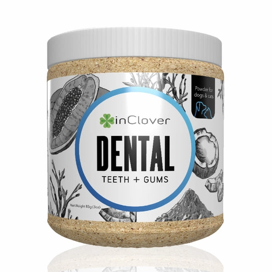 InClover BioBrilliant Dental Health Powder Supplement for Dogs & Cats multivitamin for cats, daily cat supplements
