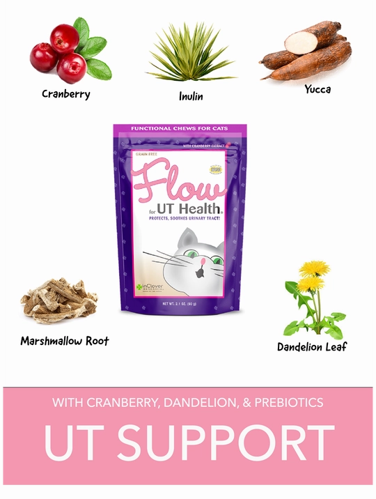 InClover Flow Urinary Tract Health Soft Chews Supplement for Cats