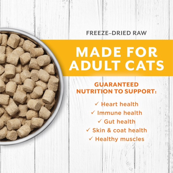 Instinct Raw Longevity Chicken Recipe 100% Freeze Dried Cat Food, 9.5oz