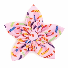 It's My Birthday Dog Collar Flower dog collar accessory,collar decor