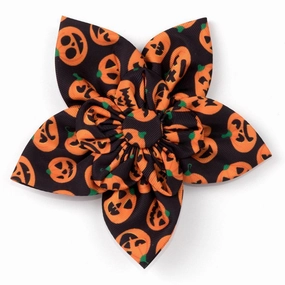 Jack-O-Lantern Dog Collar Flower dog collar accessory,collar decor