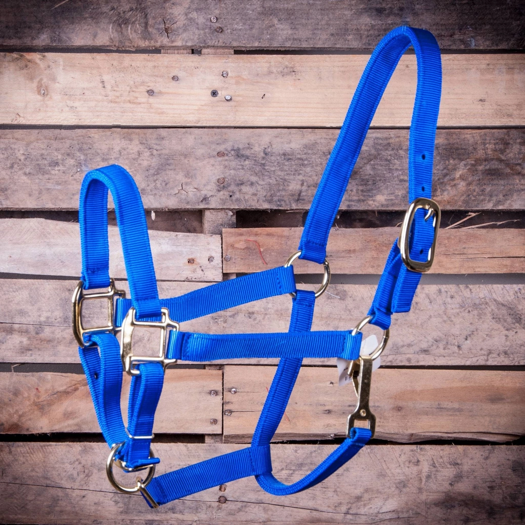 Jeffers Adjustable Halter with Throat Snap