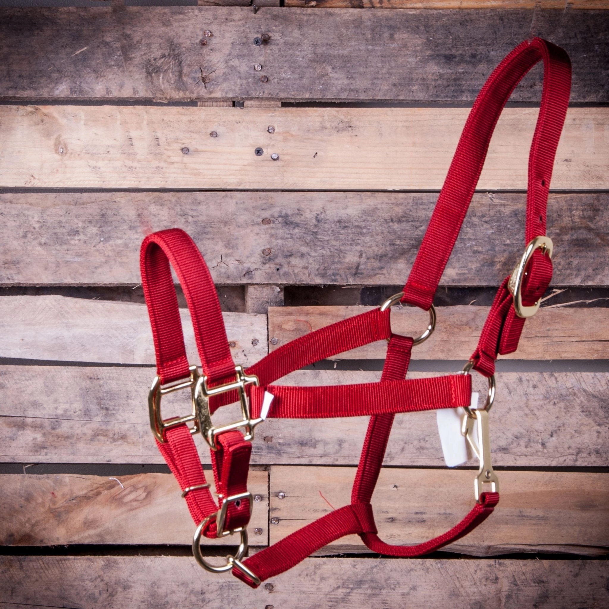 Jeffers Adjustable Halter with Throat Snap